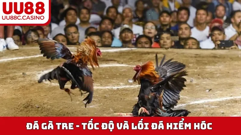 Đá Gà Tre
